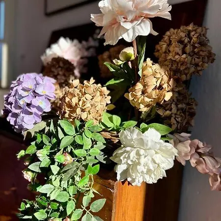 Elegant Inside Fontana アパート *