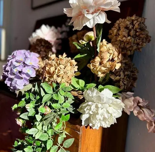 Elegant Inside Fontana Appartement *